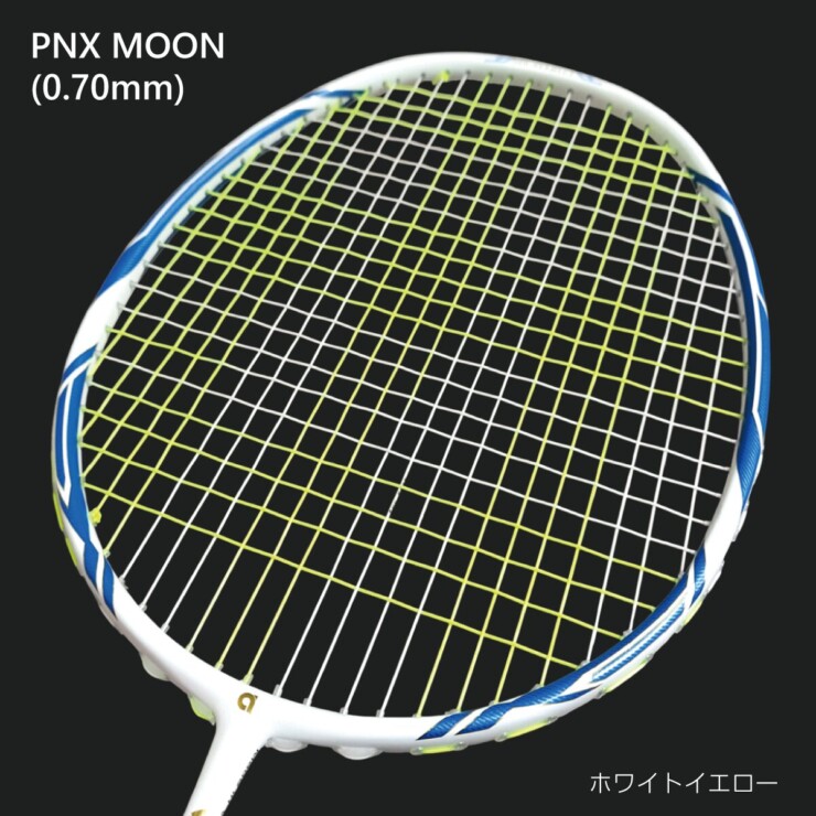 PNX-MOON-10