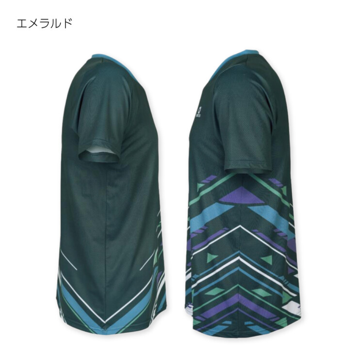 RN8213/RN10163